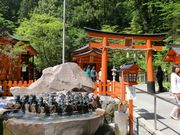 Hakone Shrine's Garden
