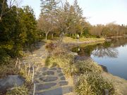 日本庭園の散歩道